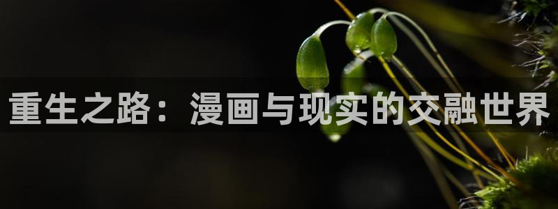 包子漫画1.0.1：重生之路：漫画与现实的交融世界