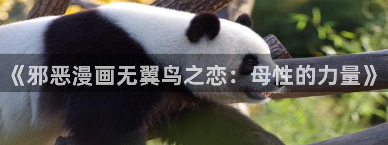 包子漫画苹果版：《邪恶漫画无翼鸟之恋：母性的力量》